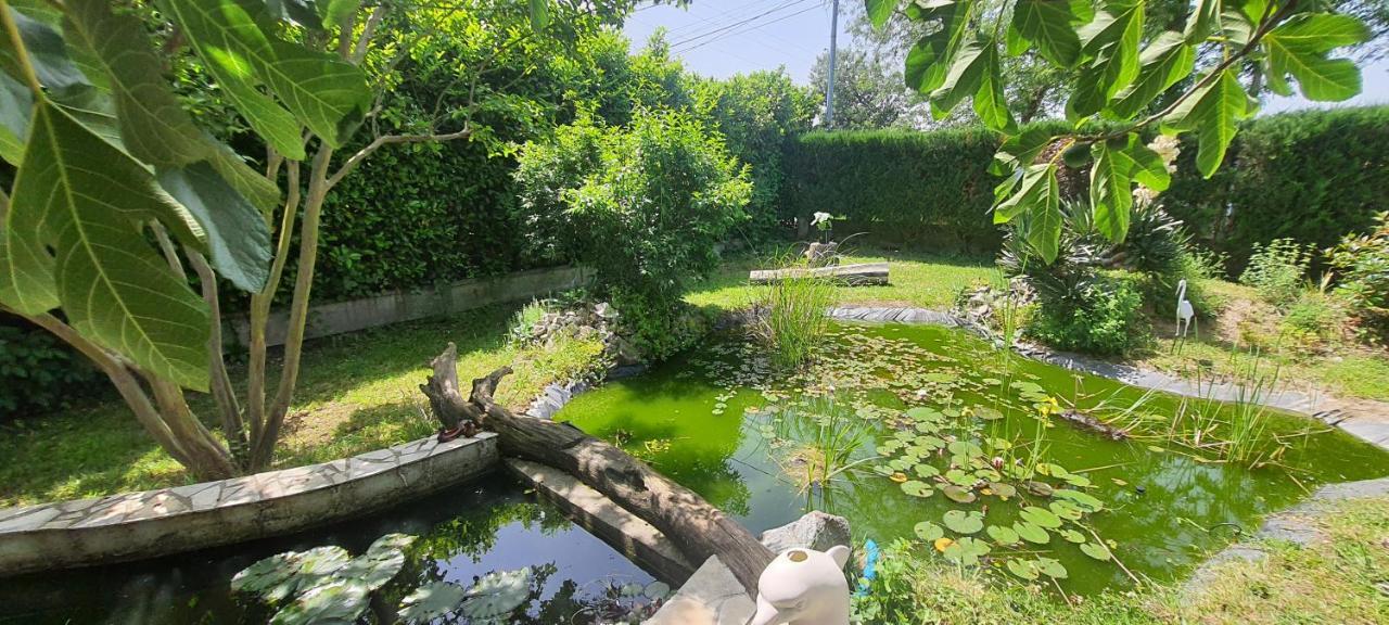 L'Echappee Belle Διαμέρισμα Calmont  Εξωτερικό φωτογραφία