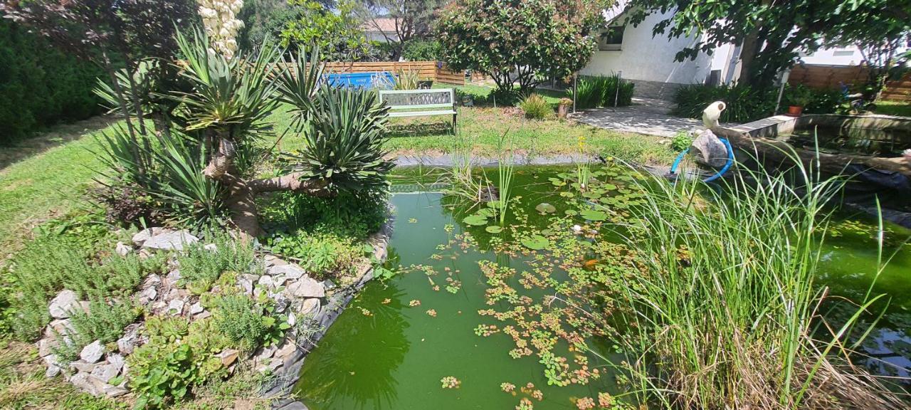 L'Echappee Belle Διαμέρισμα Calmont  Εξωτερικό φωτογραφία